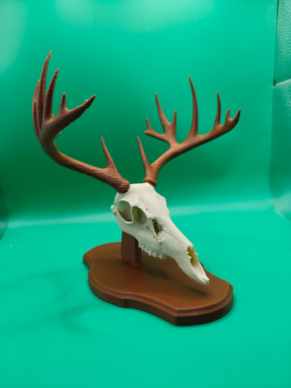 3D Printed Faux Deer Skull Mount | Rustic Hunting Decor - product image 1