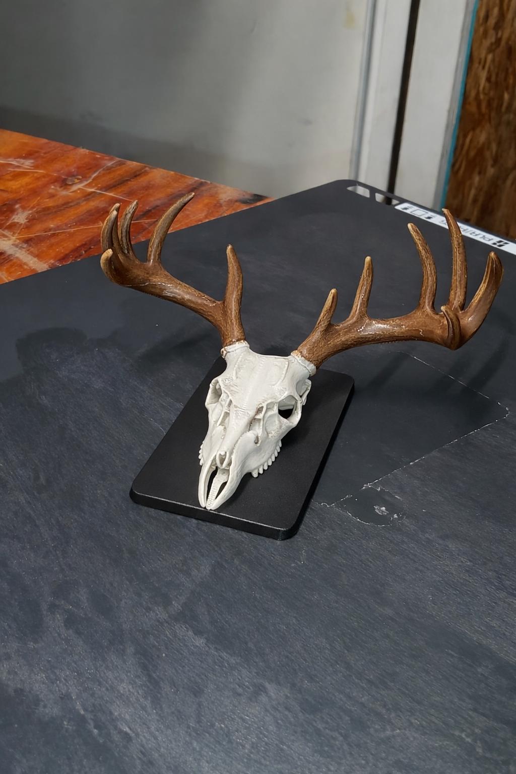 3D Printed Deer Skull Magnet | Rustic Cabin Decor