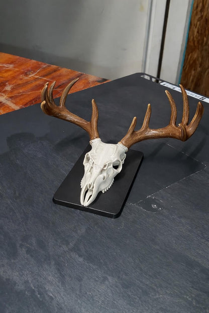 3D Printed Deer Skull Magnet | Rustic Cabin Decor