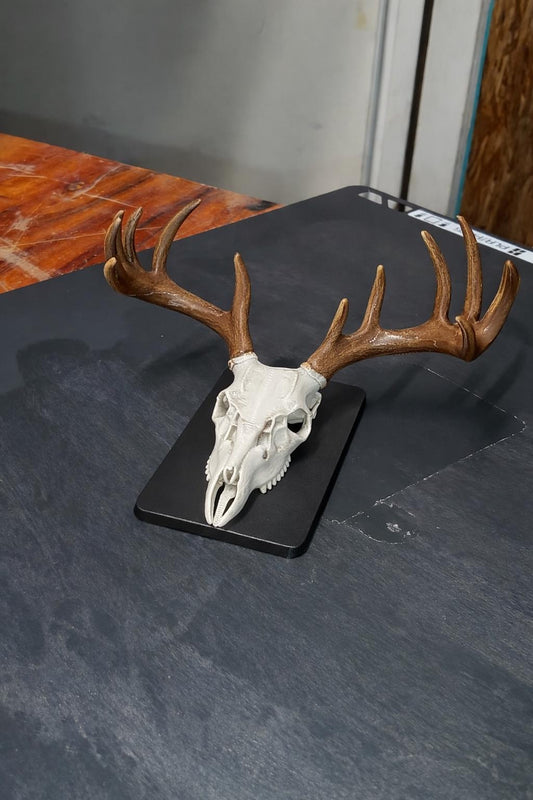 3D Printed Deer Skull Magnet | Rustic Cabin Decor