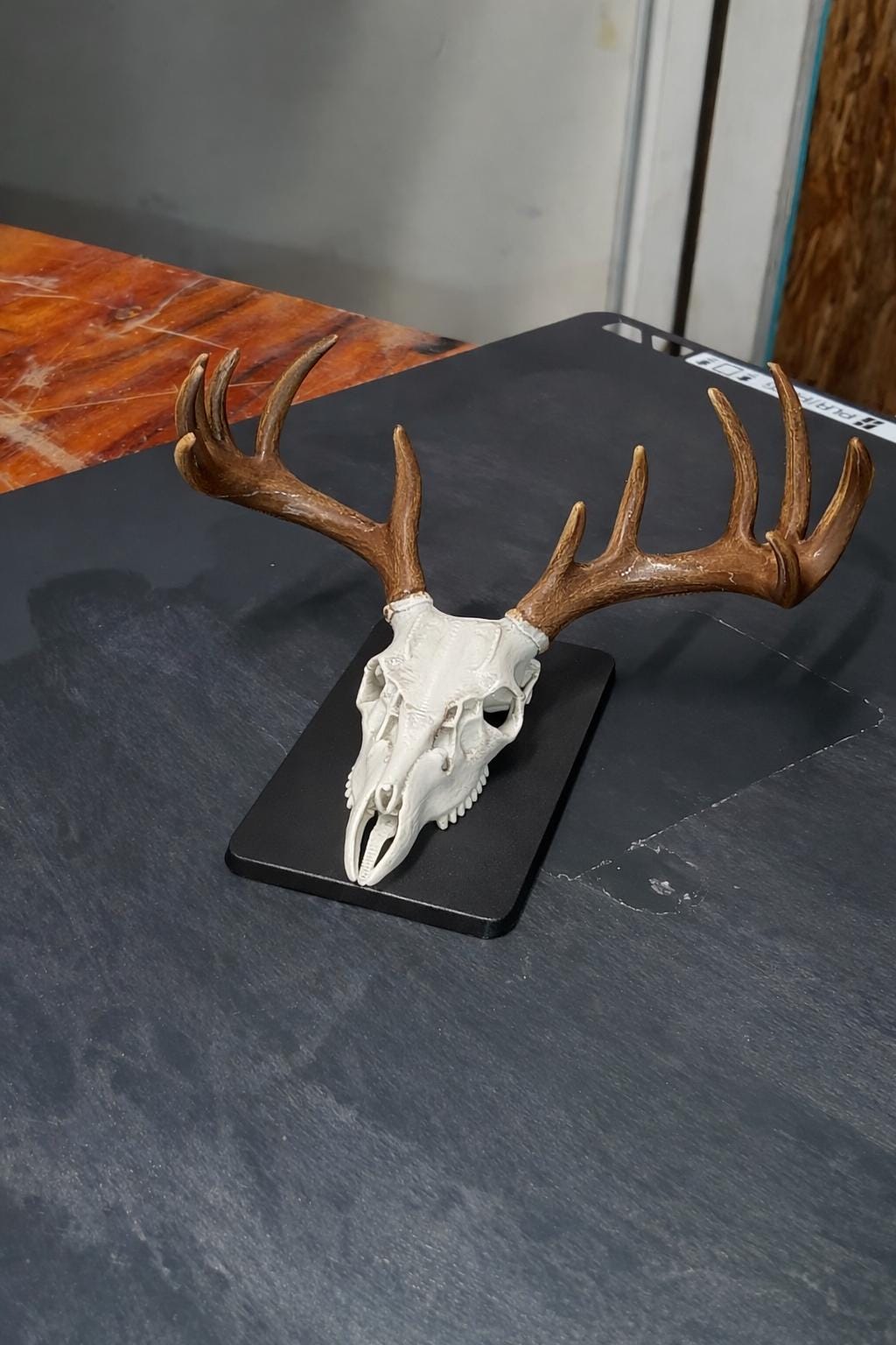 3D Printed Deer Skull Magnet | Rustic Cabin Decor