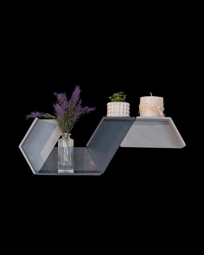 Set of 4 Modular Hexagon Wall Shelves, Geometric Floating Shelf Set, Modern 3D Printed Plant Shelves, Honeycomb Wall Decor