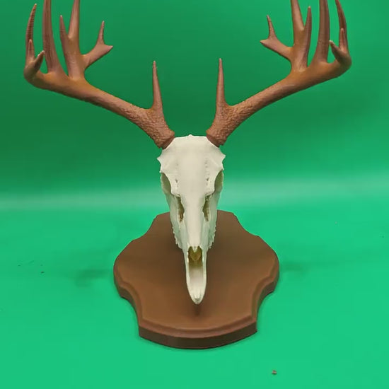 3D Printed Faux Deer Skull Mount | Rustic Hunting Decor