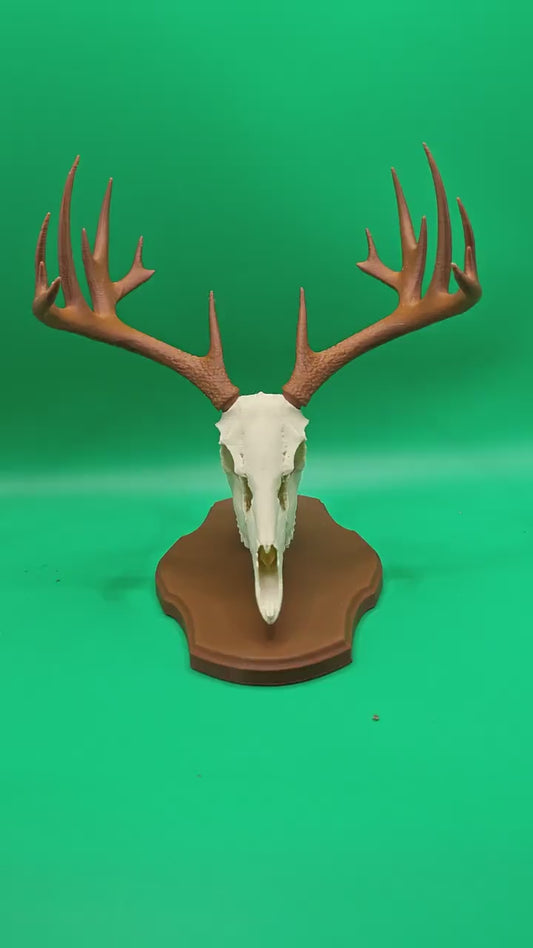 3D Printed Faux Deer Skull Mount | Rustic Hunting Decor